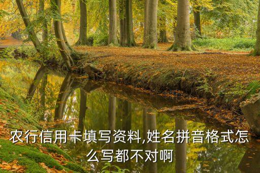 农行信用卡填写资料,姓名拼音格式怎么写都不对啊