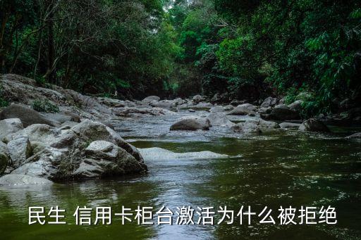 民生信用卡申请不了怎么回事