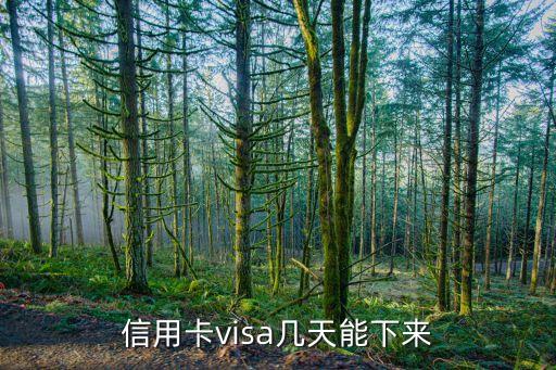 信用卡visa几天能下来