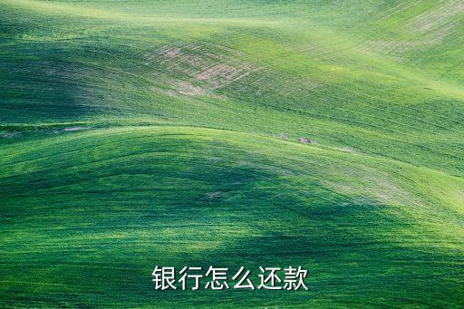 银行怎么还款