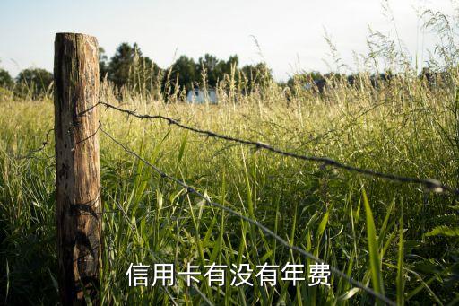 信用卡有没有年费