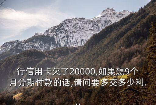 行信用卡欠了20000,如果想9个月分期付款的话,请问要多交多少利...