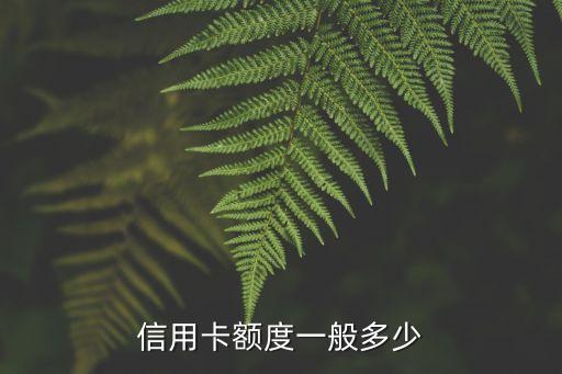 信用卡额度一般多少