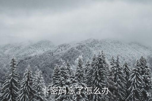卡密码忘了怎么办