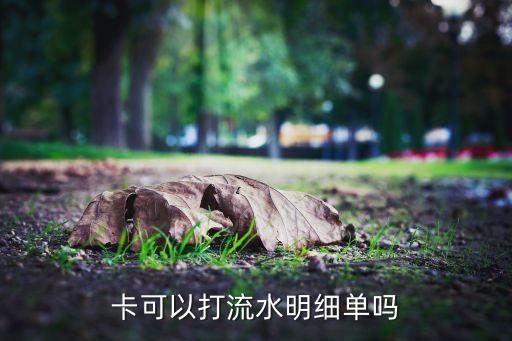 卡可以打流水明细单吗
