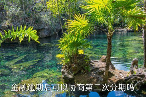 金融逾期后可以协商第二次分期吗