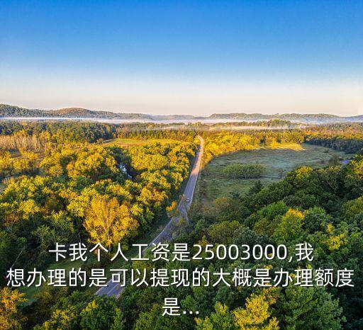 卡我个人工资是25003000,我想办理的是可以提现的大概是办理额度是...