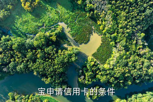 宝申请信用卡的条件