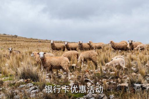 银行卡优惠活动