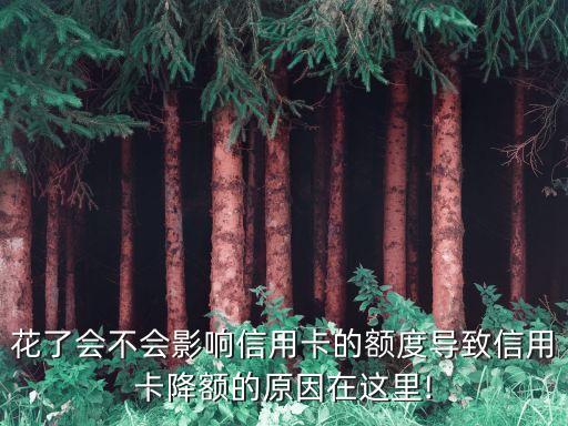 花了会不会影响信用卡的额度导致信用卡降额的原因在这里!