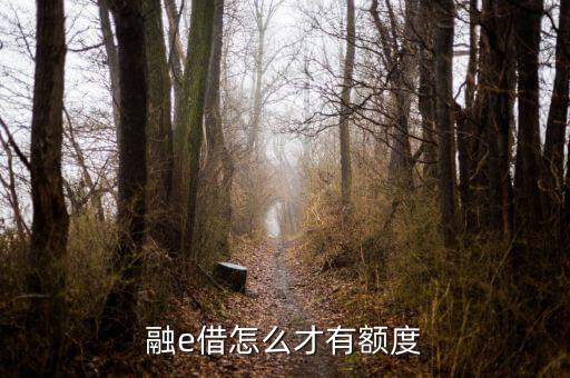融e借怎么才有额度