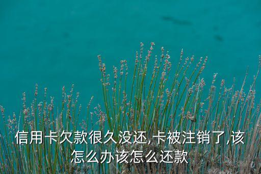 信用卡欠款很久没还,卡被注销了,该怎么办该怎么还款