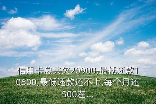 信用卡总共欠20900,最低还款10600,最低还款还不上,每个月还500左...