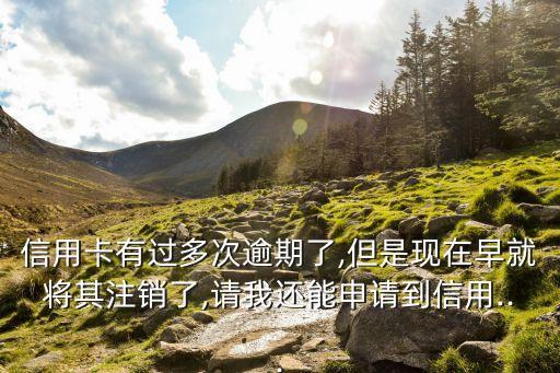 信用卡有过多次逾期了,但是现在早就将其注销了,请我还能申请到信用...