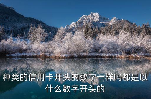 种类的信用卡开头的数字一样吗都是以什么数字开头的