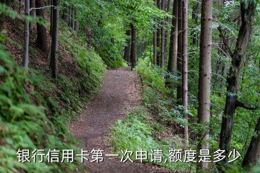 银行信用卡第一次申请,额度是多少