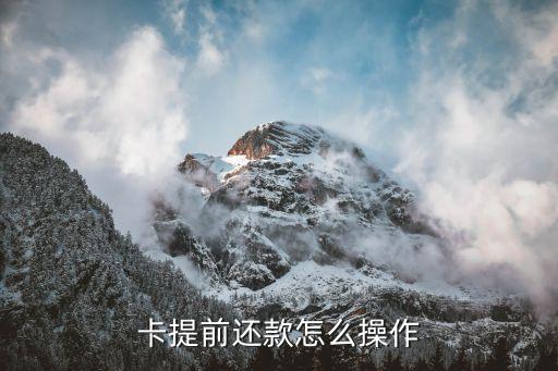 卡提前还款怎么操作