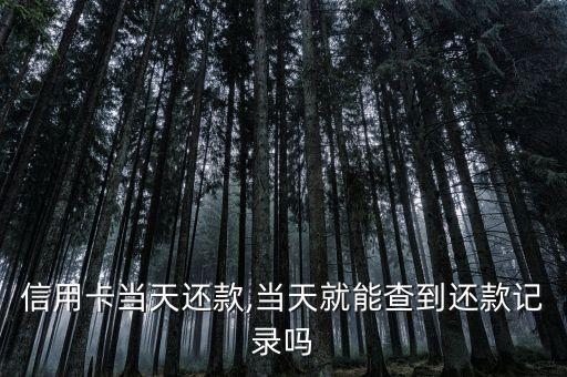 建行信用卡还款时有短信吗,他用建行的信用卡还款