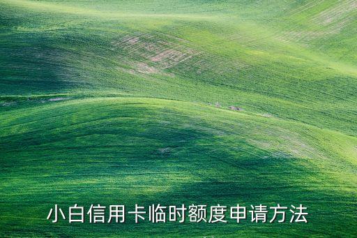 招商小白信用卡额度,小白的信用卡额度是多少