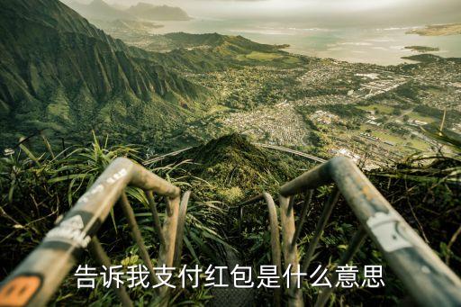 告诉我支付红包是什么意思