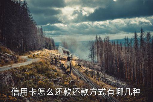 信用卡怎么还款还款方式有哪几种