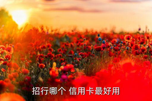招行哪个 信用卡最好用