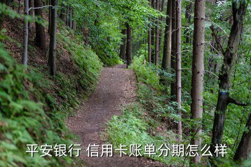  平安银行 信用卡账单分期怎么样