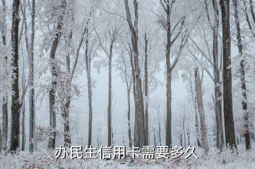 办民生信用卡需要多久