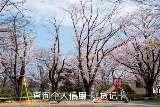 查询个人信用卡(贷记卡