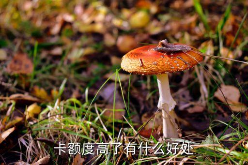 卡额度高了有什么好处