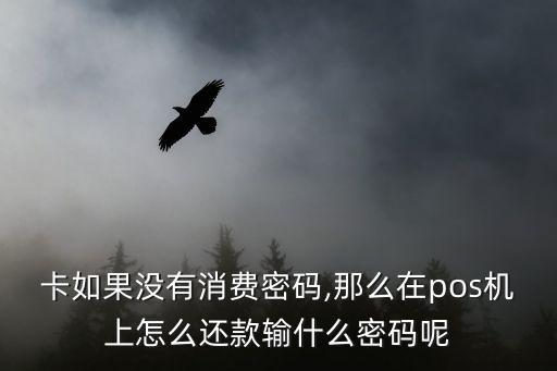卡如果没有消费密码,那么在pos机上怎么还款输什么密码呢