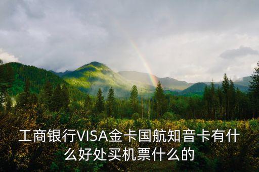 工商银行VISA金卡国航知音卡有什么好处买机票什么的