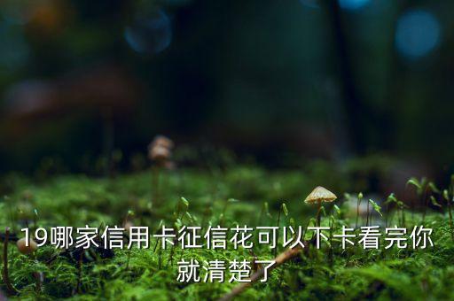 19哪家信用卡征信花可以下卡看完你就清楚了