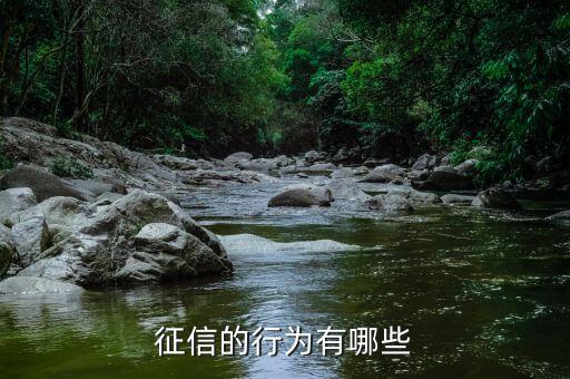 征信的行为有哪些