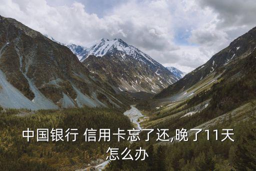 中国银行 信用卡忘了还,晚了11天怎么办
