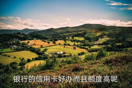 银行的信用卡好办而且额度高呢