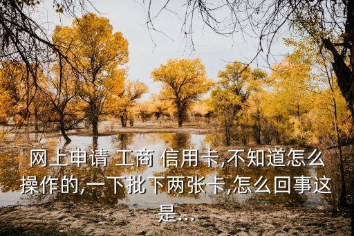 网上申请 工商 信用卡,不知道怎么操作的,一下批下两张卡,怎么回事这是...