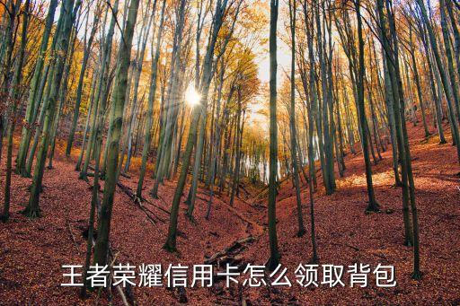 王者荣耀信用卡怎么领取背包