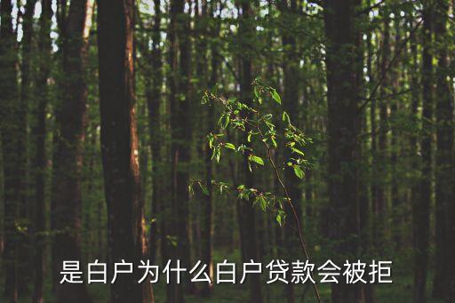 是白户为什么白户贷款会被拒