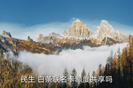 民生 白条联名卡额度共享吗