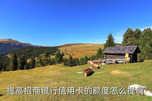 招商信用卡申请调额,招商银行信用卡调整