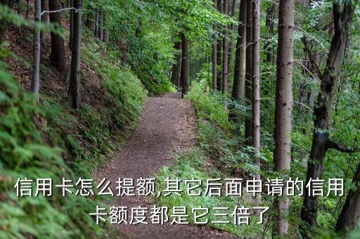 信用卡怎么提额,其它后面申请的信用卡额度都是它三倍了