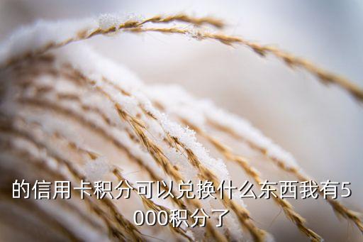 的信用卡积分可以兑换什么东西我有5000积分了