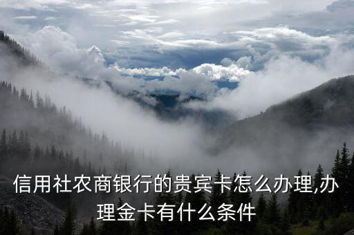 信用社农商银行的贵宾卡怎么办理,办理金卡有什么条件
