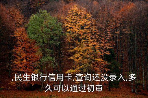 民生银行信用卡网申中心,办理中国民生银行信用卡