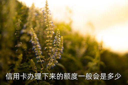 信用卡办理下来的额度一般会是多少