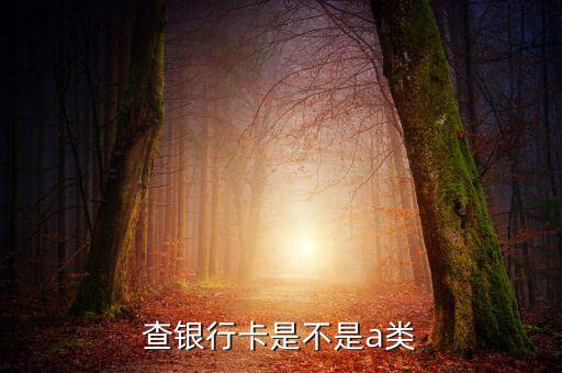 查银行卡是不是a类