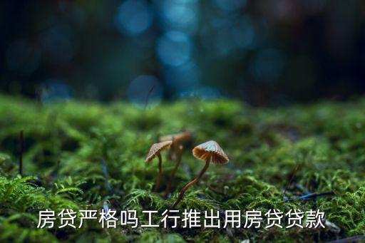 房贷严格吗工行推出用房贷贷款