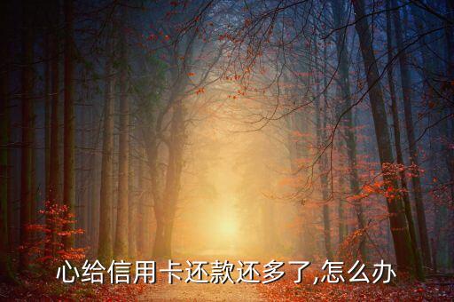 心给信用卡还款还多了,怎么办