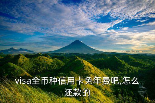 visa全币种信用卡免年费吧,怎么还款的